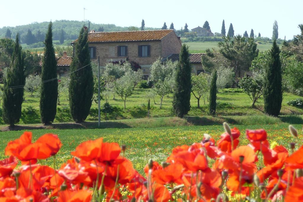 Agriturismo Santa Maria 皮恩扎 外观 照片