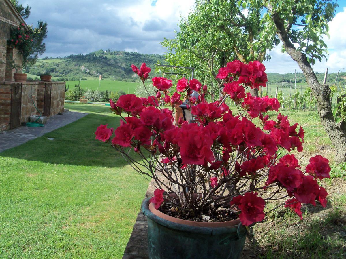 Agriturismo Santa Maria 皮恩扎 外观 照片